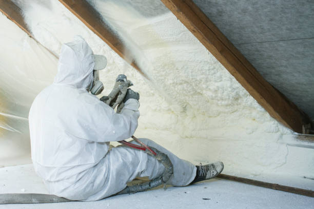 Eco-Friendly or Green Insulation Solutions in White Oak, MD